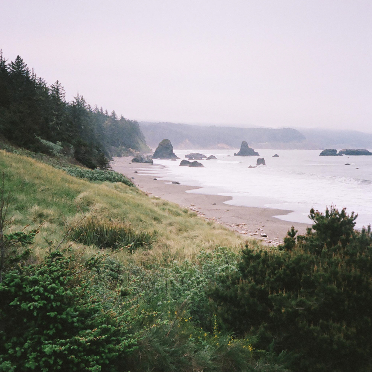 Oregon Coastline