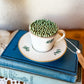 Vintage Tea Cup Matchstick Holder