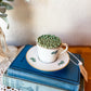 Vintage Tea Cup Matchstick Holder
