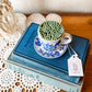 Vintage Blue & White Tea Cup Matchstick Holder